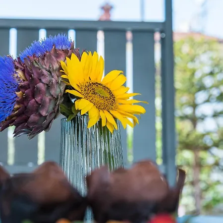 New 2021! Stella Apartment Porec