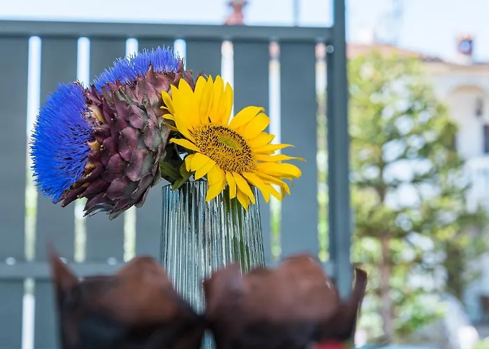 New 2021! Stella 公寓 波雷奇